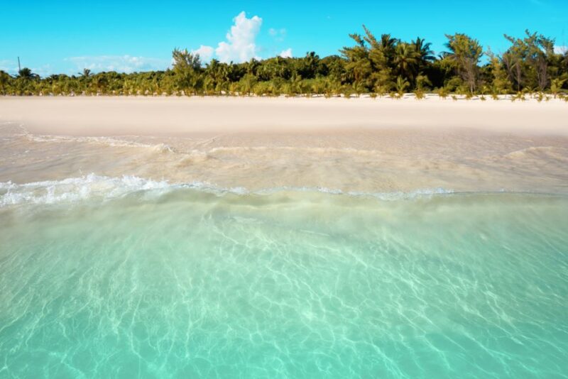 Riviera Maya: Catamaran at Maroma Beach & Reef Snorkel - Transportation and Guide