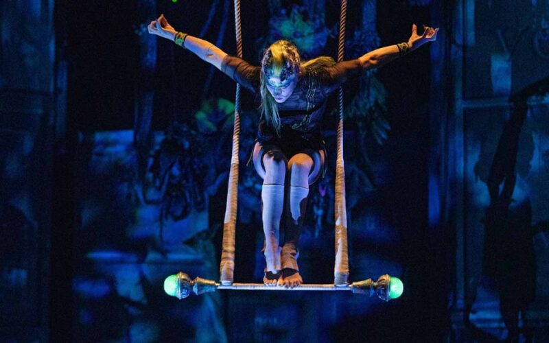 Riviera Maya: Cirque Du Soleil JOYÀ Ticket - Venue and Accessibility