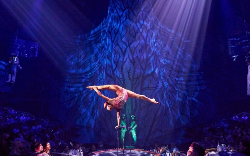 Riviera Maya: Cirque Du Soleil JOYÀ Ticket - Arrival and Seating