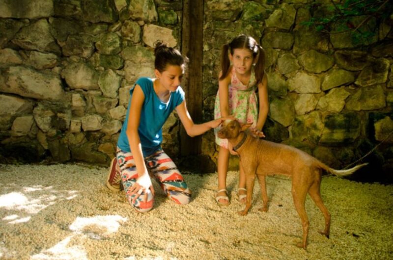 Riviera Maya: Croco Cun Interactive Zoo Tour - Key Points
