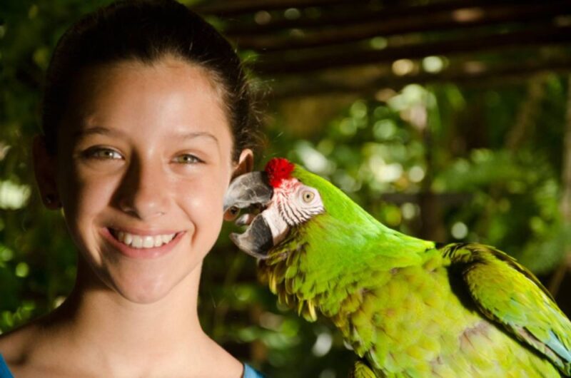 Riviera Maya: Croco Cun Interactive Zoo Tour - Inclusions and Additional Information