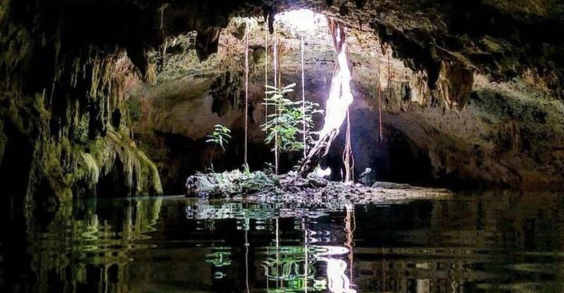 Riviera Maya: Discover Two Unique Cenotes - Key Points