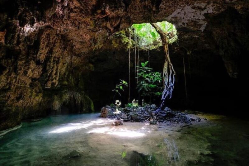 Riviera Maya: Discover Two Unique Cenotes - Tour Highlights