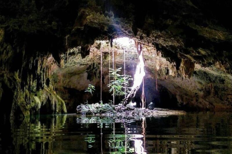 Riviera Maya: Discover Two Unique Cenotes - Accessibility and Participation