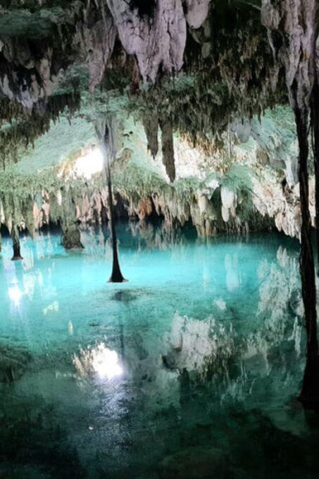 Riviera Maya: Discover Two Unique Cenotes - Cenote Exploration