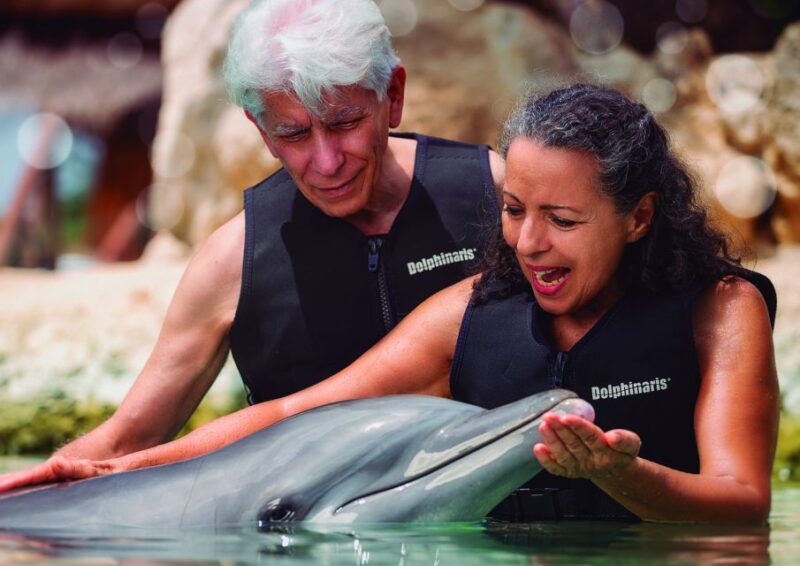 Riviera Maya Dolphin Connection: Dolphin Beyond Connection - Unique Connection With Dolphins