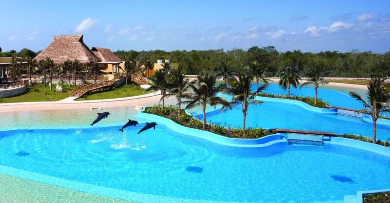 Riviera Maya Dolphin Connection: Dolphin Beyond Connection - Educational Journey With Experts
