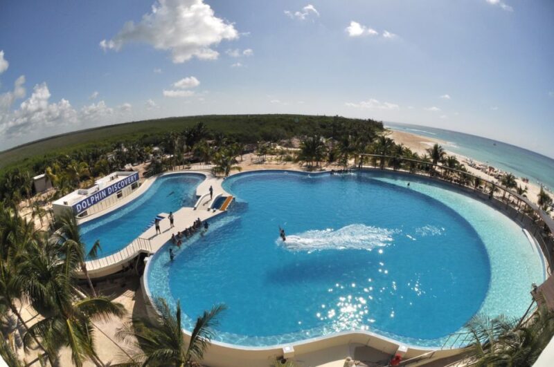 Riviera Maya: Dolphin Encounter With Beach Club Access - Key Points
