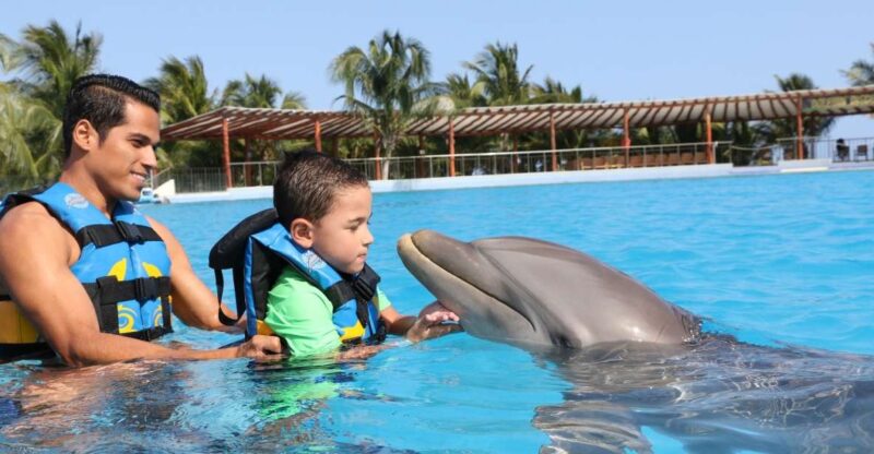 Riviera Maya: Dolphin Encounter With Beach Club Access - Booking Information