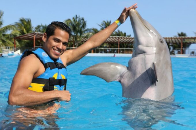 Riviera Maya: Dolphin Encounter With Beach Club Access - Frequently Asked Questions