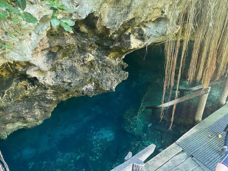 Riviera Maya: Half Day Jaguar Cenote and Zipline Adventure - Transportation Details