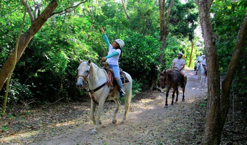 Riviera Maya: Horseback Riding at Rancho Bonanza - Participant Restrictions