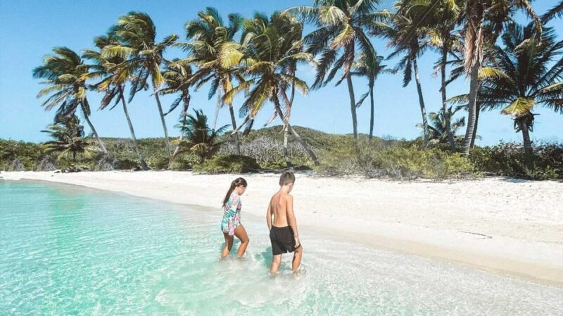 Riviera Maya: Isla Contoy and Isla Mujeres Full-Day Tour - Inclusions