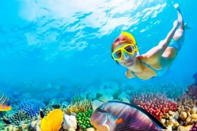 Riviera Maya: Isla Contoy and Isla Mujeres Full-Day Tour - Snorkeling in the Reef