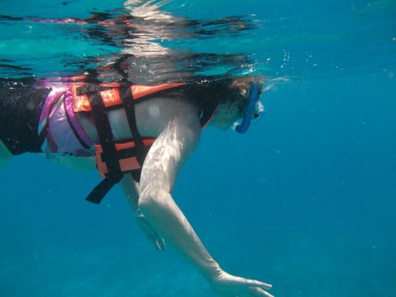 Riviera Maya: Isla Mujeres Tour With Seafood Lunch - Inclusions