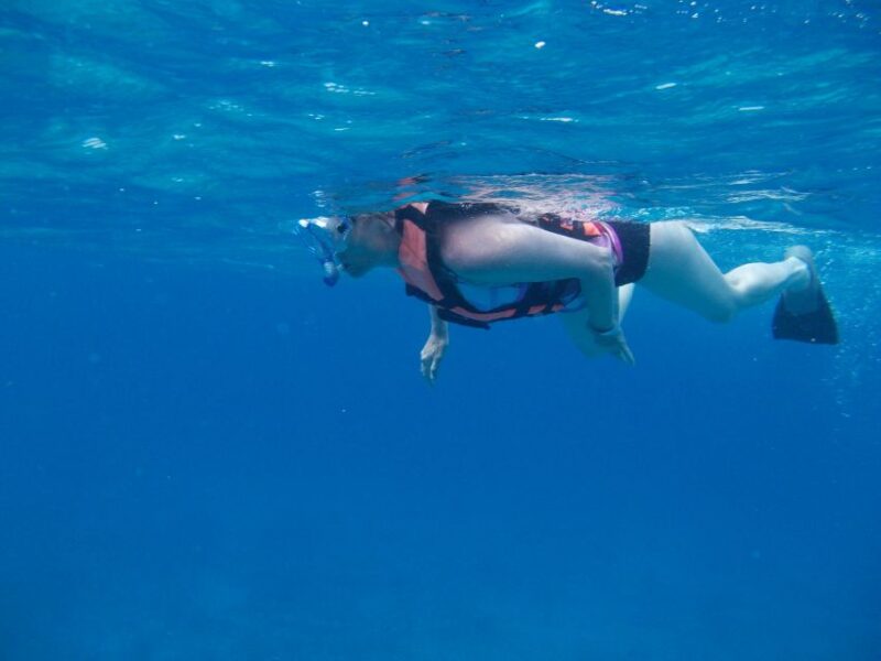 Riviera Maya: Isla Mujeres Tour With Seafood Lunch - Cancellation and Refunds