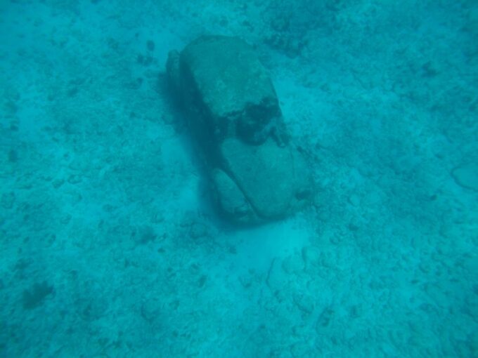 Riviera Maya: Isla Mujeres Tour With Seafood Lunch - Dietary and Accessibility Considerations