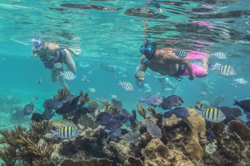 Riviera Maya: Luxury Catamaran Sailing Trip With Lunch - Participant Requirements and Restrictions