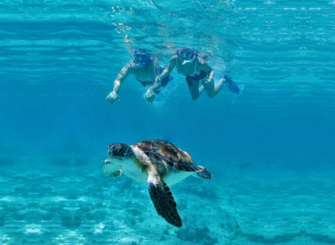 Riviera Maya: Luxury Catamaran Sailing Trip With Lunch - Cancellation and Booking Policy
