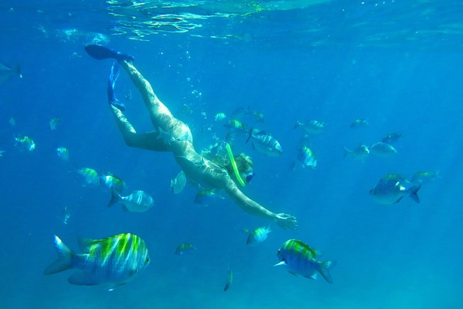 Riviera Maya Luxury Snorkeling Cruise With Lunch and Drinks - Cancellation Policy