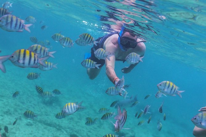 Riviera Maya Luxury Snorkeling Cruise With Lunch and Drinks - Gourmet Lunch and Open Bar