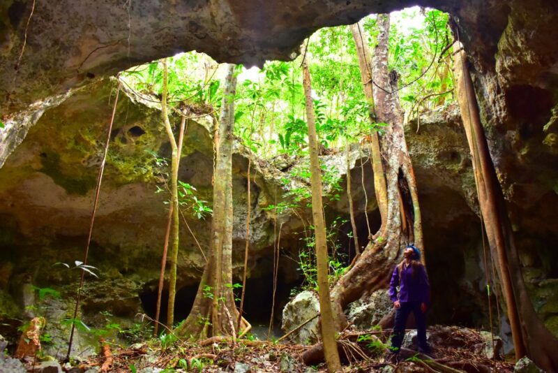 Riviera Maya: Rio Secreto Wild Tour With Lunch - Experience Highlights