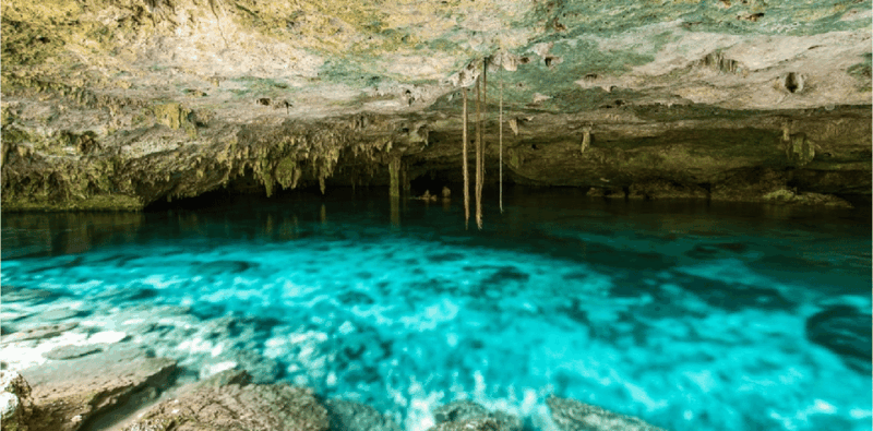 Riviera Maya: Snorkel Cenotes - Experience and Highlights