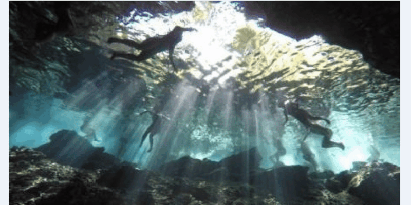 Riviera Maya: Snorkel Cenotes - Guided Tour Information