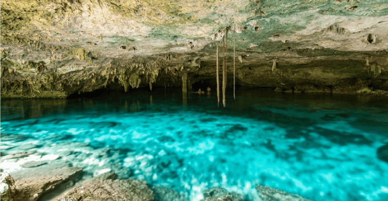 Riviera Maya: Snorkel Cenotes - Booking and Availability