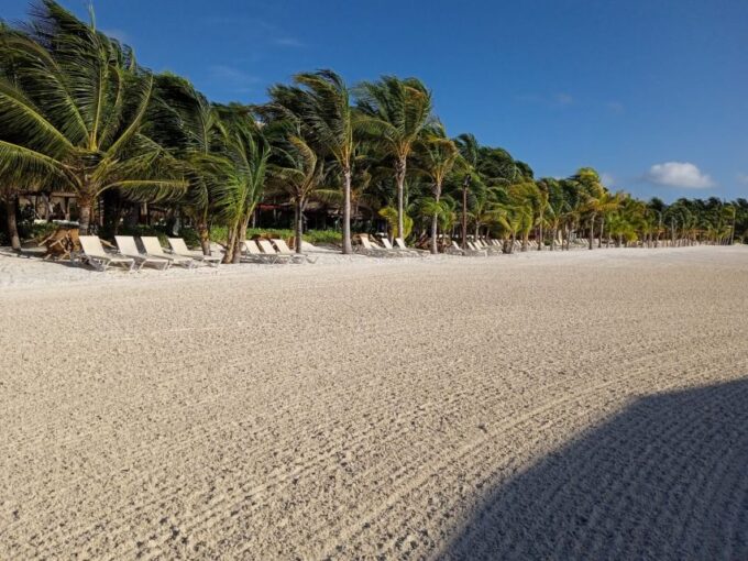 Riviera Maya: Speed Boat Tour & Beach Club Access - Cancellation Policy