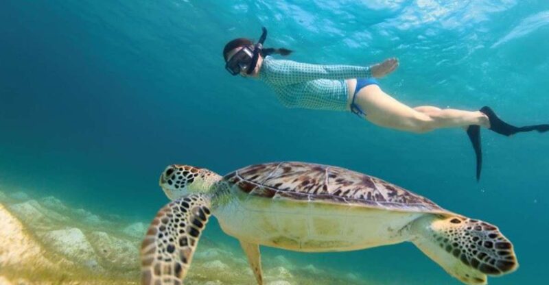 Riviera Maya: Tulum Guided Tour and Akumal Swim With Turtles - Tulum Archaeological Zone