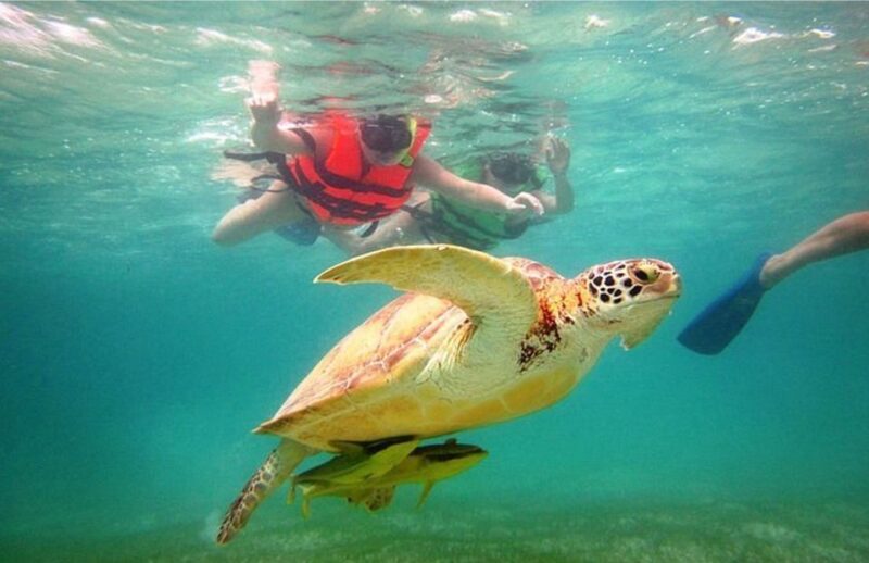 Riviera Maya: Tulum Guided Tour and Akumal Swim With Turtles - Included Experiences