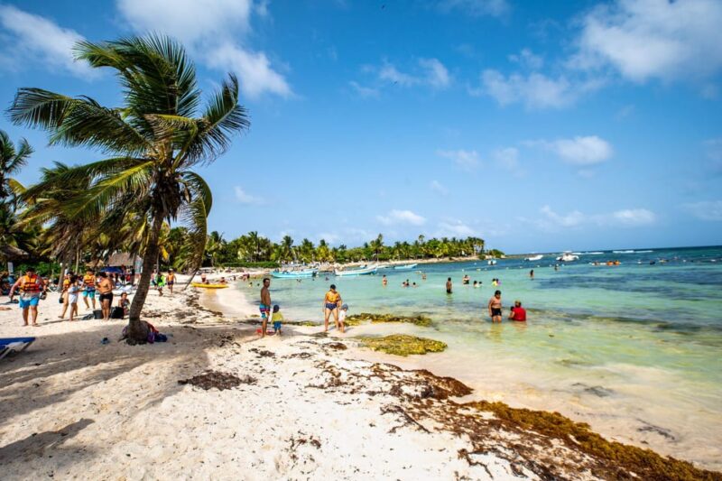 Riviera Maya: Turtles Encounter Akumal Bay Half a Day Tour - Important Details