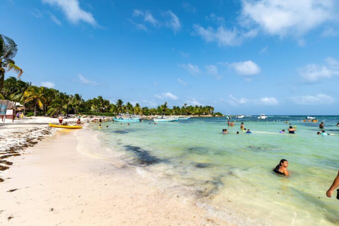 Riviera Maya: Turtles Encounter Akumal Bay Half a Day Tour - Regulations