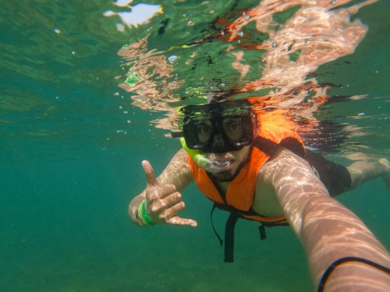 Riviera Maya: Turtles Snorkeling and Cenote Cave - Pricing and Booking