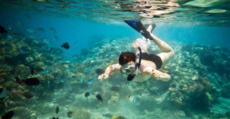 Riviera Maya: Two-Reef Snorkeling Experience - Key Points