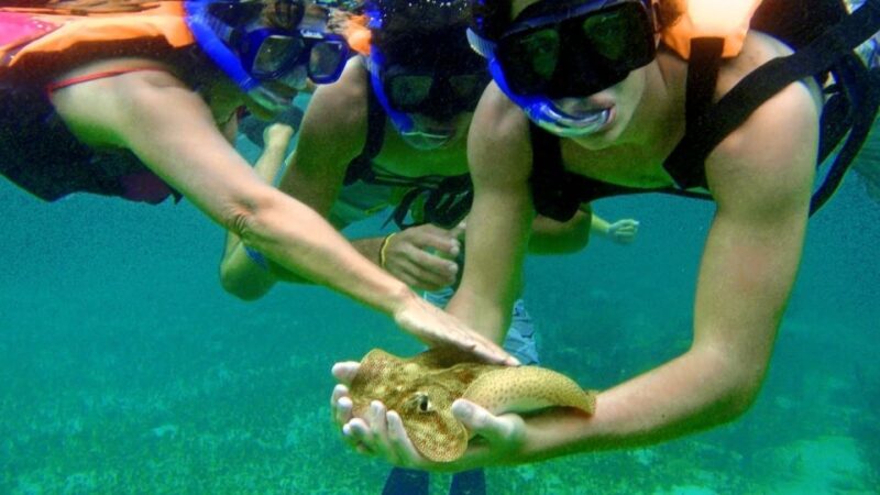 Riviera Maya: Two-Reef Snorkeling Experience - What to Bring