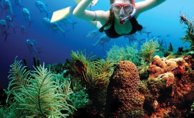 Riviera Maya: Two-Reef Snorkeling Experience - Languages Offered