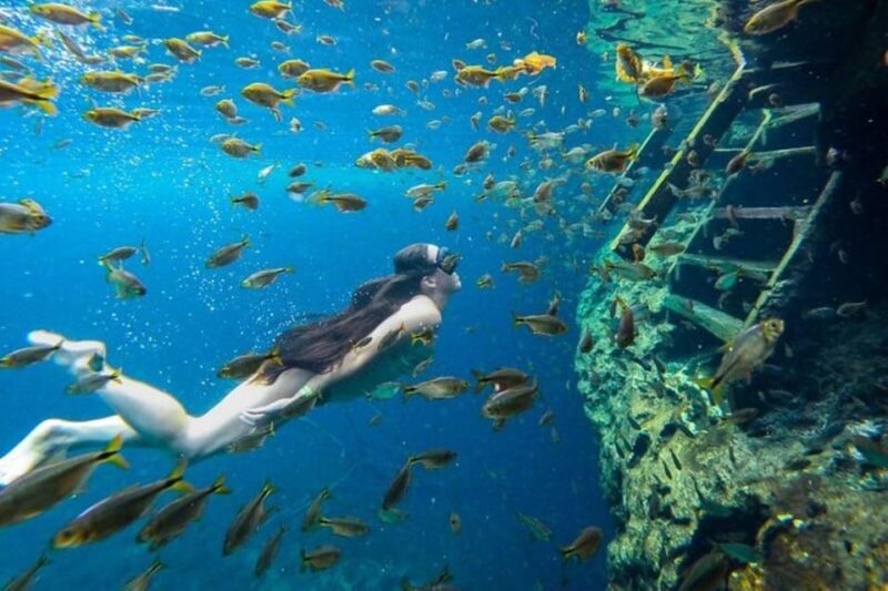 Riviera Maya: Yum-Ha, Luna, and Sombra Cenotes Tour - Highlights of the Experience