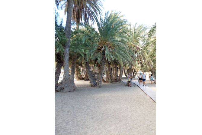RIVIERA - Vai Palm Beach, Toplou Monastery - Booking Information