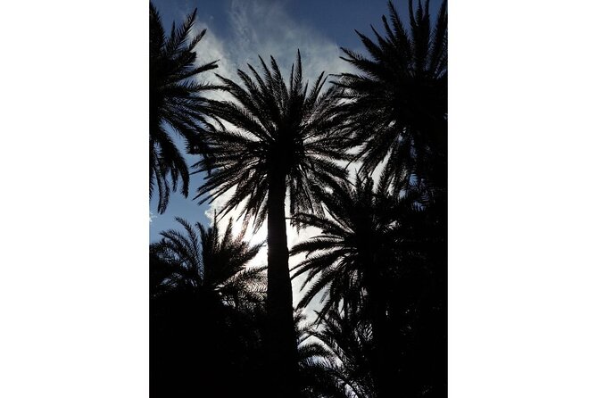 RIVIERA - Vai Palm Beach, Toplou Monastery - Accessibility and Participation