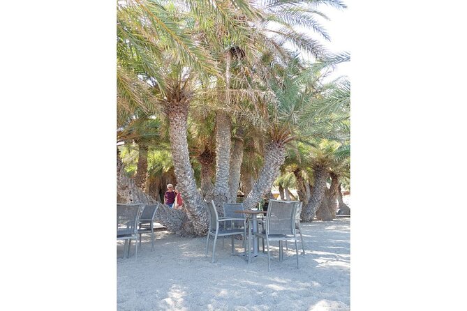 RIVIERA - Vai Palm Beach, Toplou Monastery - Customer Reviews