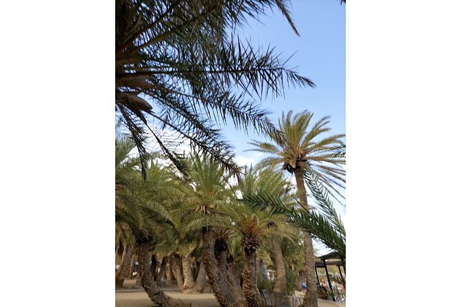 RIVIERA - Vai Palm Beach, Toplou Monastery - Highlights of the Destinations