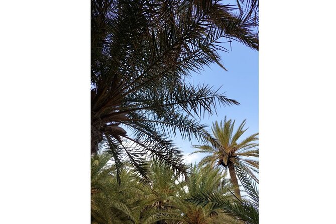 RIVIERA - Vai Palm Beach, Toplou Monastery - Recap