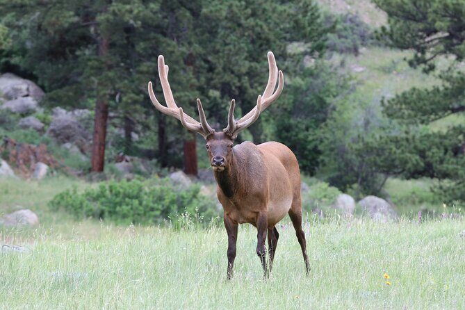 RMNP: Bear Lake Corridor Tour - The Sum Up: Is the Bear Lake Corridor Tour Worth It?