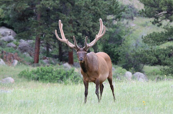 RMNP: Bear Lake Corridor Tour - FAQ