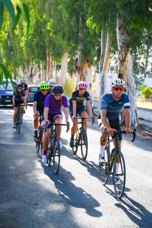 Road Bike Tour - Tour Experience