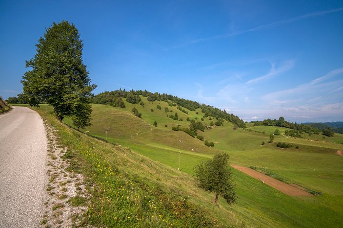Road Cycling Tour Slovenia - Scenic Highlights