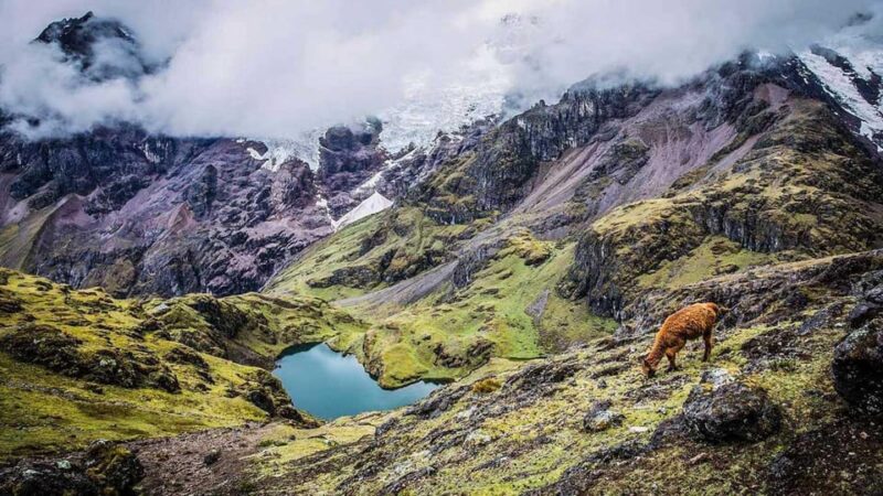 Road in Lares Valley to Machu Picchu, 4 Days and 3 Nights - Day 1: Cusco to Cuncani