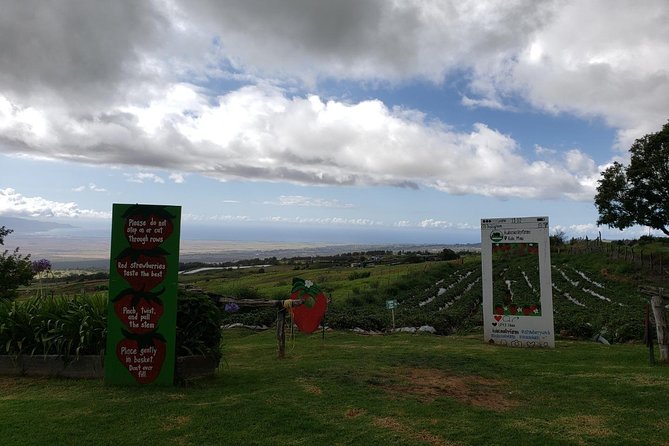 Road to Hana Adventure in Maui- Private - Just for Your Group - Explore Mauis History and Culture